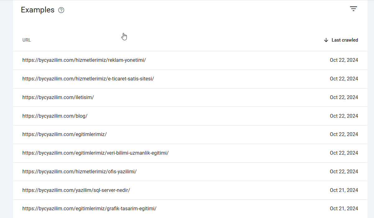 Google Search Console'da indekslenen URL örneklerini gösteren ekran görüntüsü